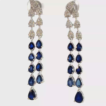 Elegant Drop Earrings